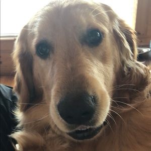 Meet your Posher, Ben